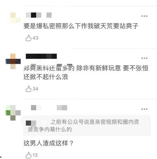 张恒爆料邓爽视频大全集,揭秘娱乐圈背后的秘密  第1张