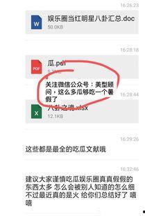 娱乐圈吃瓜pdf文件,PDF文件深度解析
