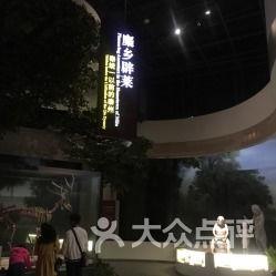 泰州博物馆爆料事件视频,揭秘背后真相与争议  第1张