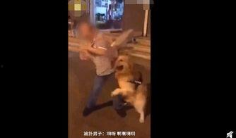 视频拍摄发爆料怎么办,如何正确应对与处理  第2张