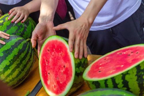 吃瓜渠道免费,免费吃瓜,独家爆料,带你领略明星幕后故事 第2张 吃瓜渠道免费,免费吃瓜,独家爆料,带你领略明星幕后故事 第2张